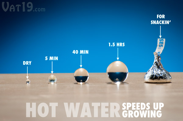The Spitballs toy can be ready in as little as five minutes (in hot water).