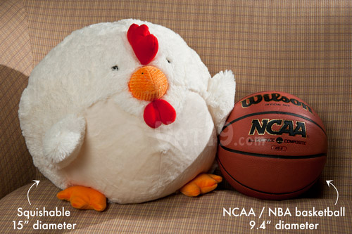 A Rooster Squishable next to a standard NBA basketball.