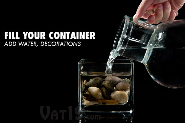 To create your water candle, begin by selecting a wide-mouth vessel to fill with water.